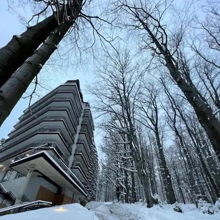Srodkowa Widok Na Las 2 Pietro Garaz Gratis Szklarska Poreba Exterior photo