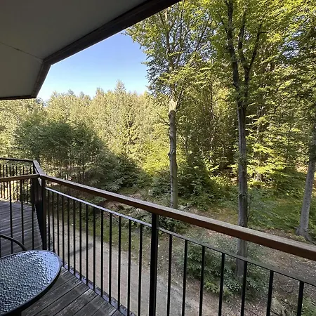 Srodkowa Widok Na Las 2 Pietro Garaz Gratis Szklarska Poreba Exterior photo